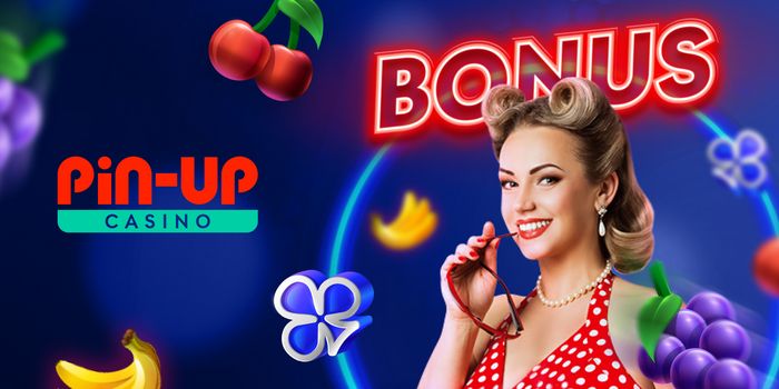  kumar işletmesini pin up 